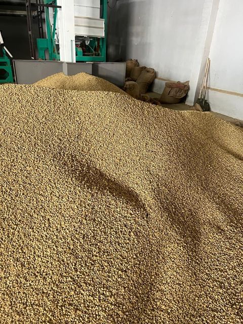 coffee Features Organic Bean Type Arabica - Image 4