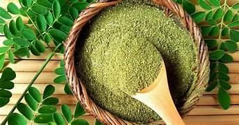 Moringa Powder Port MUNDRA Form POWDER Texture Fine Color Vibrant Flavor Mild Earthy Storage Type PP BAG Place of Origin INDIA - Image 3