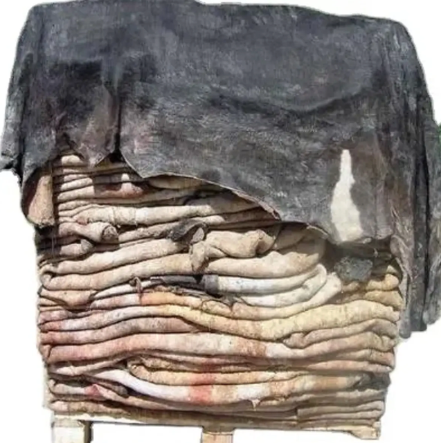 Wet Salted Cow Hides | Grade A Raw Bovine Hides | Wholesale Leather Industry Supply & Export - Image 4