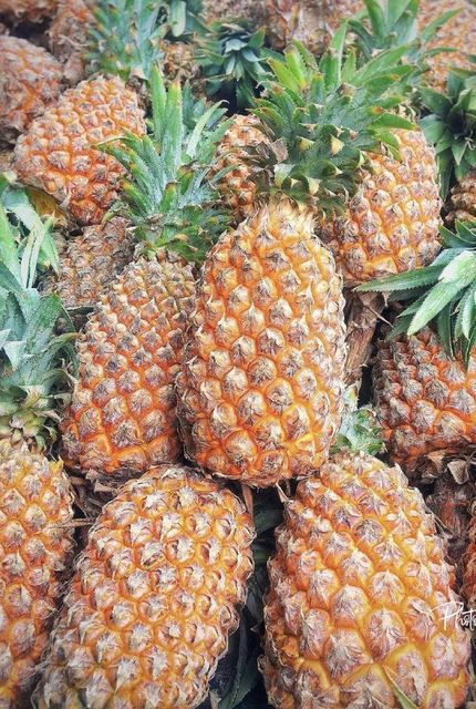 Fresh Pineapple - Image 2