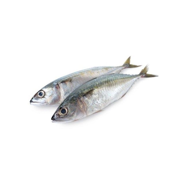 Wholesale Frozen Mackerel Fish Premium Quality - Image 4