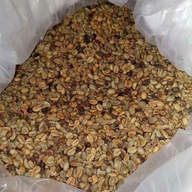 VIETNAMESE ARABICA GREEN BEANS COFFEE FULL WASHED FOR BULK, EXPORT QUALITY – product photo 2, product detail gallery