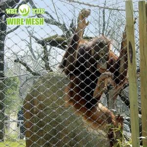 7X7 Rope Protective Stainless Steel Wire Flexible Rope Mesh for Zoo Animal Cages Bird Cage Mesh Falling Prevention Mesh - Image 3