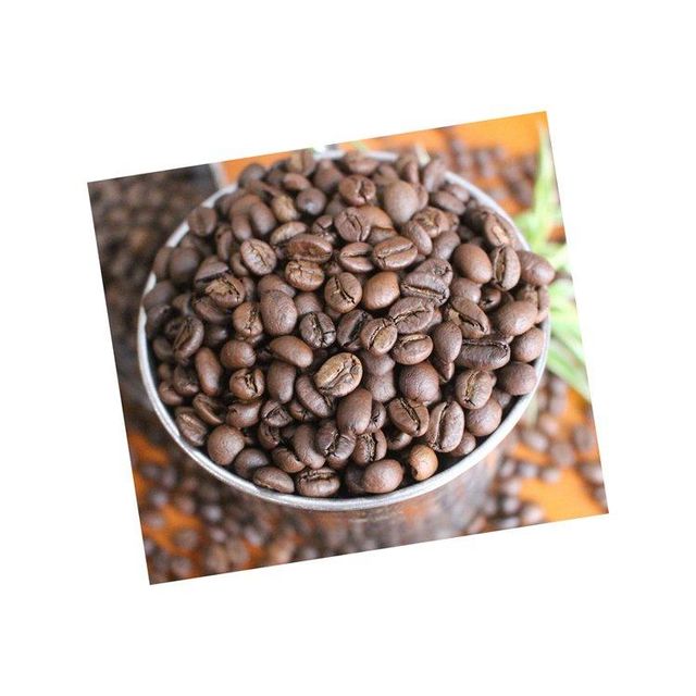 High quality robusta coffee beans prepared for wholesale buyers needing steady volume - Image 2