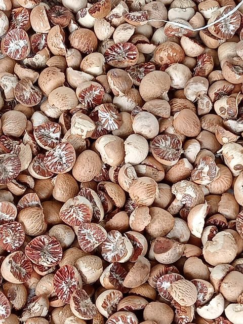 split betel nut / half betel nut Quality High Grade Grade A Type Whole or Split Packaging 50 kg net bag Ingredients 100% Betel Nut - Image 2