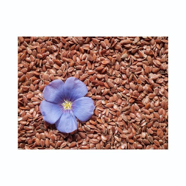 Flax seeds available in bulk for superfood manufacturers and distributors - Image 2