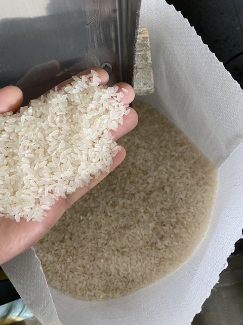 Baldo rice Breakage Rate 5% Grain Shape Round Packaging Size 25 Kg Grain Type Middle Grain Packaging Material PP - Image 3