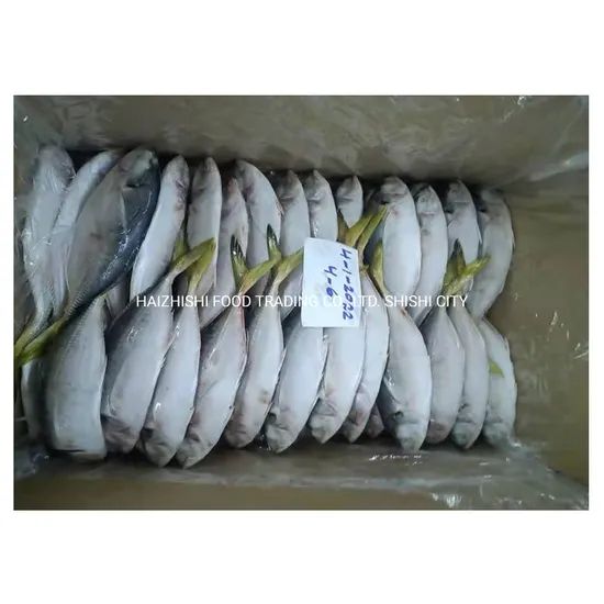 New Stock Oman Origin Frozen Yellow Tail Scad Fish Style Whole Processing BQF Trademark HEALSEA Origin Fujian, China Storage Temperature - Image 4
