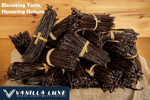 Vanilla Pods Origin Uganda Form Vanilla Powder, Whole Pods - Image 3