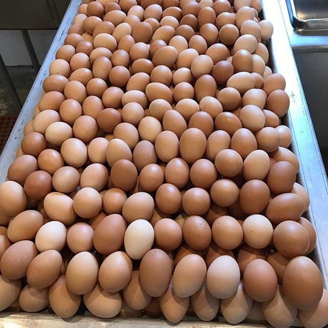 Fresh Brown Table Eggs Chicken Eggs / Fresh Chicken Table Eggs Brown and White - Image 1