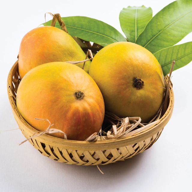 Fresh Delicious Mango Alphonso Super Grade 3kg Natural Taste Available at Factory Price Trusted Supplier - Image 3