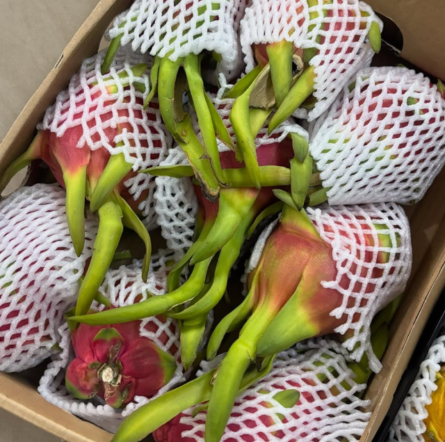 Premium Fresh Harvest Dragon Fruit Export Quality 9kg Dragon Fruit Sale - Image 5