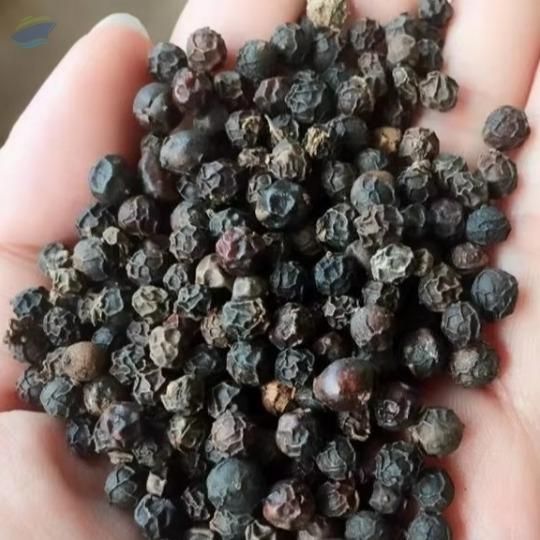 Black Pepper - Image 1