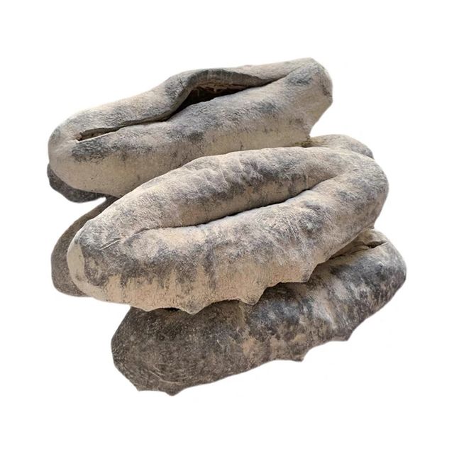 Best selling Dried Sea Cucumber for sale Sea Cucumber Dry Sea Cucumber - Image 6