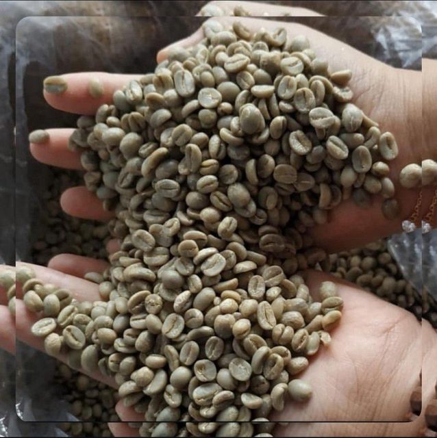 Arabica Green Coffee Bean For Specialty and Commercial Indonesian Origins All Grades Ready Export – product photo 4, product detail gallery