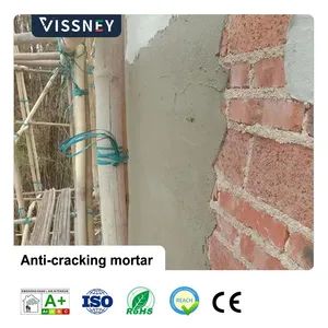Vissney Innovative Anti Crack Mortar for Versatile Applications in Modern Building Renovation Projects - Image 4