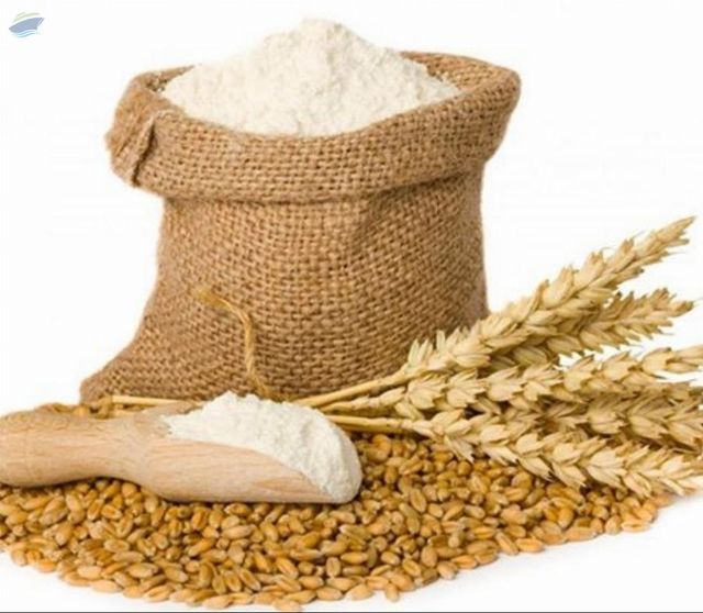 Wheat Flour, Rice , Maize, Rye And Cereal Flour - Image 1
