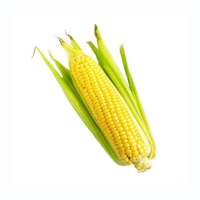 Affordable yellow corn available in large quantity for distributors and buyers - Image 4