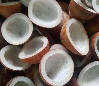 Coconut Copra Aroma Rich Oil Content High Quality Standard Premium Quality Shelf Life Retains Freshness And Quality Intended Use - Image 2