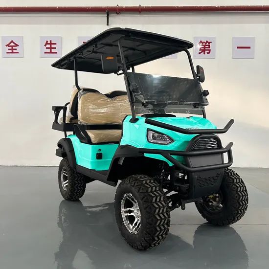 Cheap Custom Golf Cart Electric Golf Buggy Golf Equipment Seats 3-4 OEM Support Origin China Power 600-1700W Model NO. WT 2+2 - Image 1