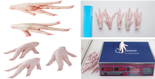 Chicken Paws Frozen - Image 1