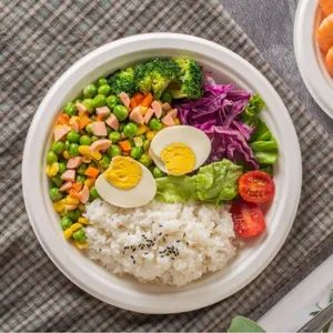 Hot Sale Biodegradable Sugarcane Bagasse Plates Paper Cup Cutlery Compostable Disposable Tableware Suit - Image 6