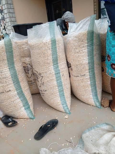Soya Beans - Image 2