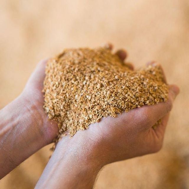 Top Quality Non Gmo Soybean Meal for Animal Feed - Image 2