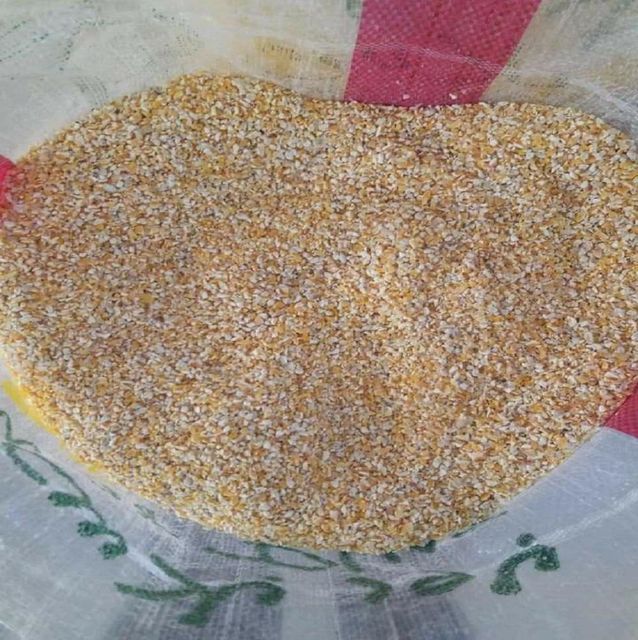 Animal Feed Soybeans frozenchickenexports.com - Image 2