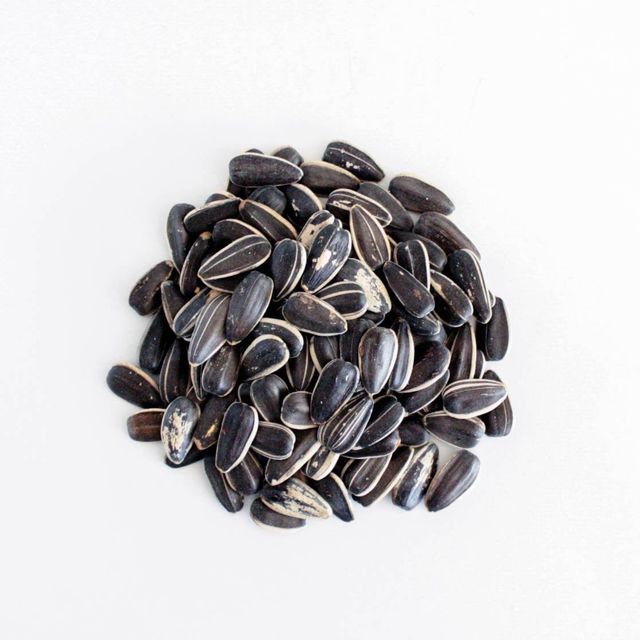 High Yield Natural Oil Rich Sunflower seed For Wholesale Export Markets With Careful Sorting Sunflower seed In Bulk - Image 5