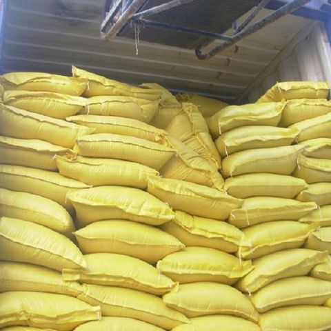 White Corn/Maize - Image 4