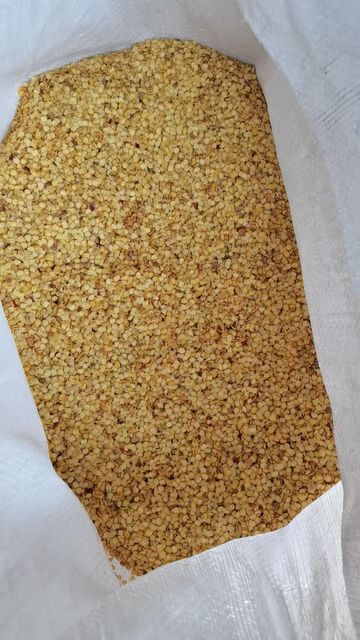High quality paprika seeds Grade A Sweet pepper seeds for seasoning - Image 3