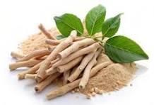 Ashwagandha Powder - Image 1