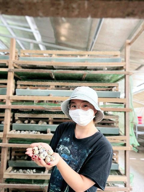 Quail Eggs Type Organic Free Range Source Organic, Free-range Packaging Quantity 1,000 Eggs Per Pallet Feeding Practice Natural Feeding Practices - Image 1