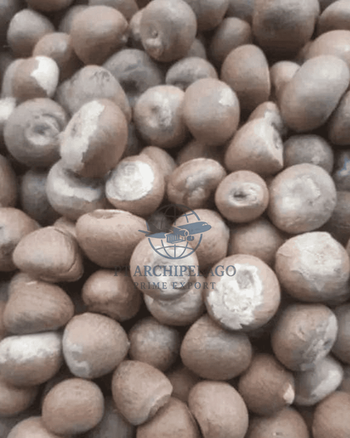 betel nut whole / a betel nut Quality High Type Whole Betel Nut Ingredients Betel Nut Packaging 50 kg net bag Max. Moisture (%) <=12% - Image 1