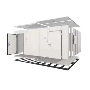 Secure Cold Room Storage Protects Valuable Goods - Image 2