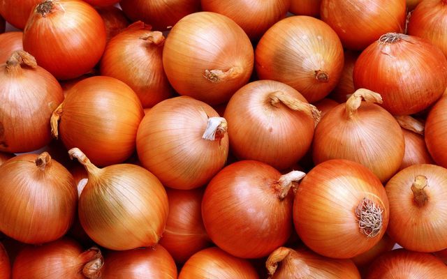 FRESH RED ONION – product photo 4, product detail gallery