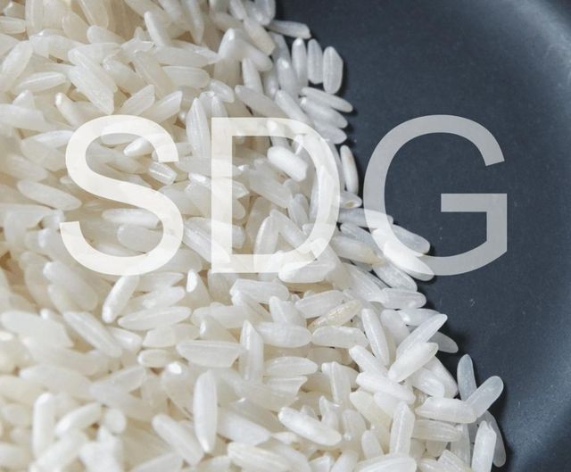 HIGH QUALITY LOW PRICE RICE PARBOILED RICE INDIAN ORGANIC RICE WHOLESALE RATE PACKING AS PER BUYERS REQUIRED - Image 2