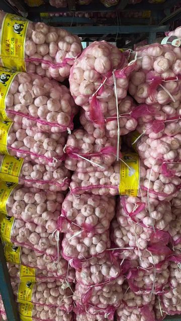 Fresh Vegetables Certifications Haccp, Iso Supply Stability Year-round Packaging Options 5kg/10kg Boxes, Mesh Bags Customization Support Oem Or Private-label - Image 1