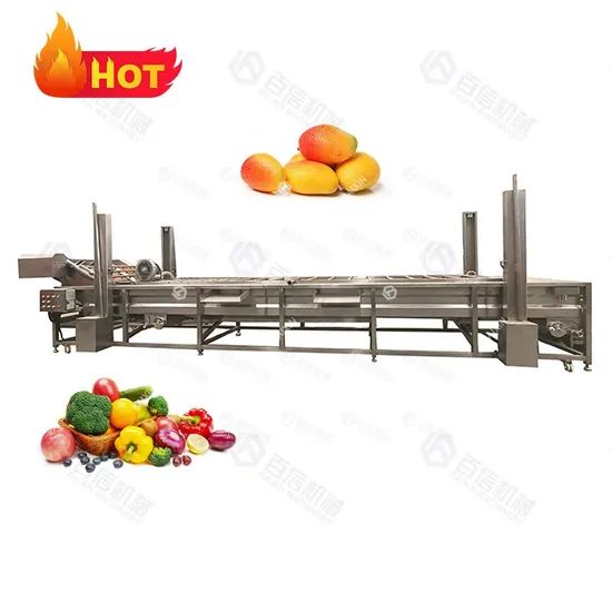 Different Model Washing Machine Fruit Cleaning Line Bubble Washing Machine - Image 5