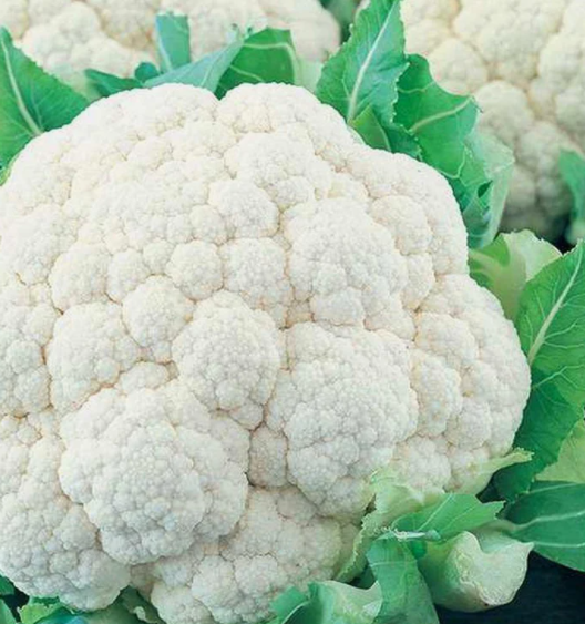 Fresh Cauliflower Grade Goods Style Fresh Weight (kg) 10 Content Natural Manufacturer Yes Address Cape town Shelf Life 25 - Image 6