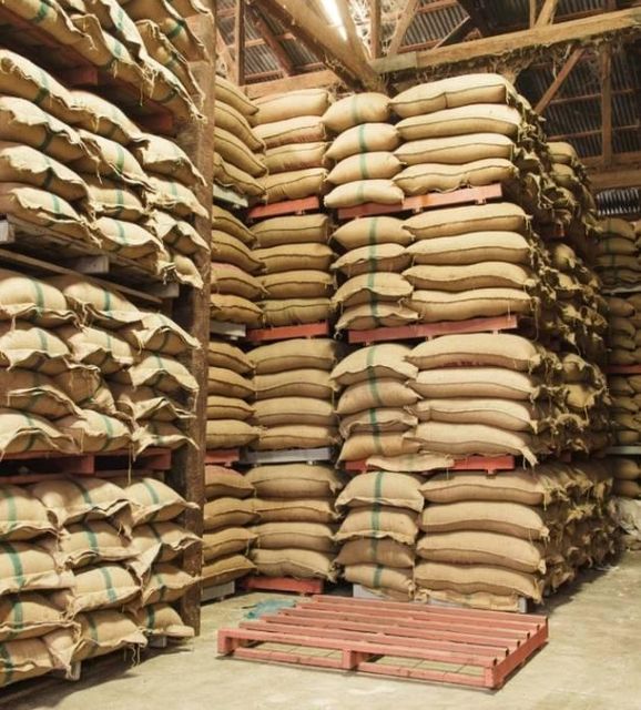 Premium Cocoa Beans Wholesale Bulk Supply Export Quality Grade A Raw Cocoa Beans for Global Buyers - Image 3
