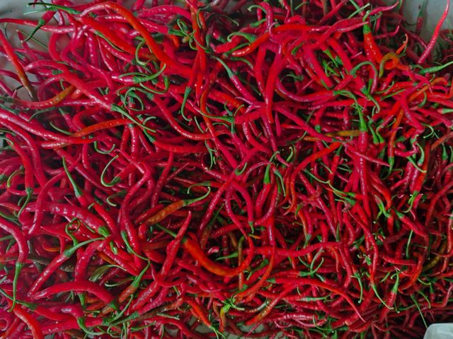 Fresh Chili Red Curly Chili - Image 3