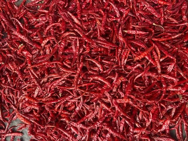 Red chilli - Image 1