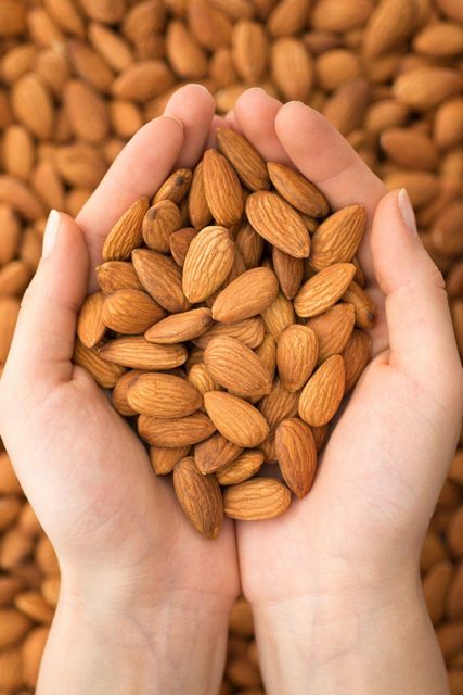 Roasted Almonds Premium Grade California Nuts Light Crunch Rich Taste Ideal For Salad Topping Dessert Decoration And Healthy Lifestyle Nutrition Boost - Image 4