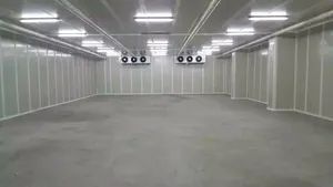 Fruit Fresh Cold Room Cold Storage - Image 4