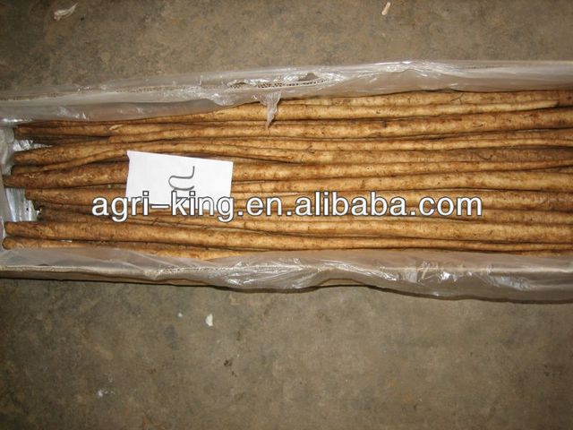 Chinese Fresh Burdock Root Style Fresh Type BURDOCK Model Number A Weight (kg) 10 Certification CIQ Cultivation Type - Image 3