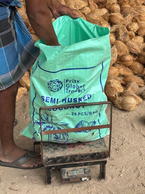 Premium Quality - Semi husked Coconut - Export Quality - for Global Wholesale buyers – product photo 5, product detail gallery