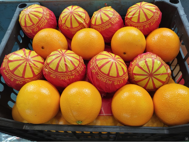 Egyptian Fresh Valencia Oranges Citrus (Valencia - Sukkari - Sweet - Baladi) - Image 4