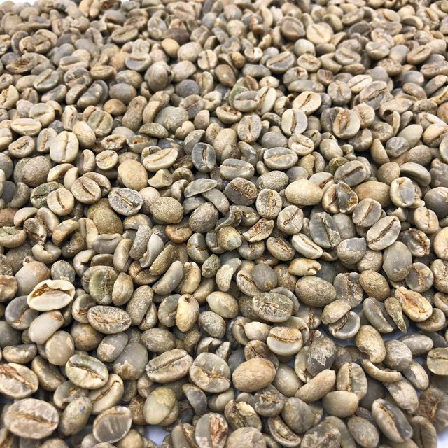 Premium Arabica Coffee & Robusta Coffee Beans – Grade A Green Coffee for Export - Image 4
